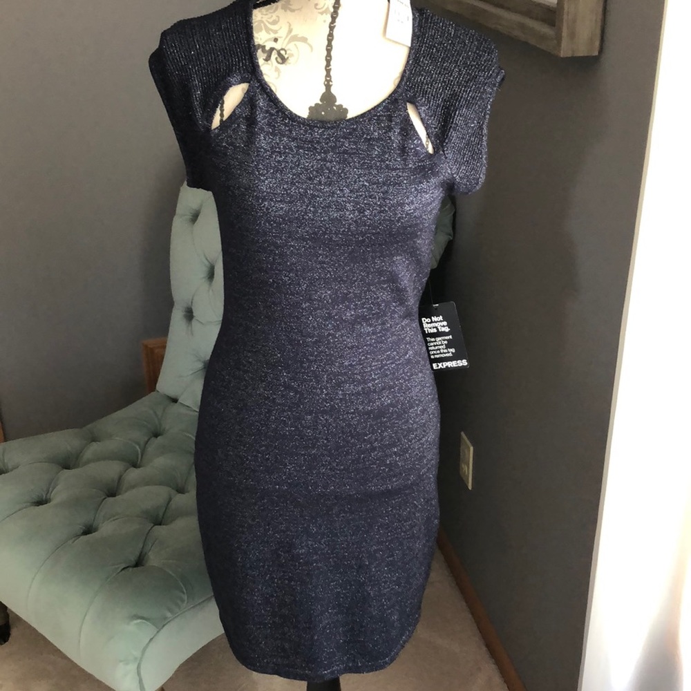 Form-fitting sparkly dress